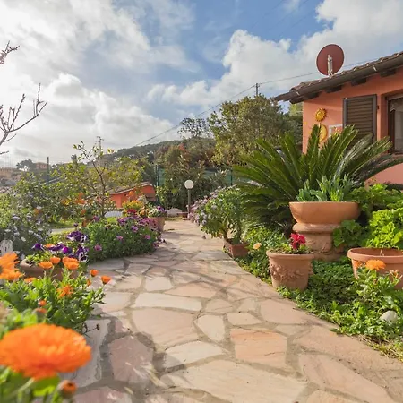 Fiorita - Helloelba *