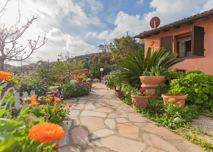 Fiorita - Helloelba *